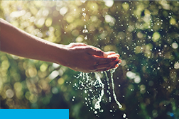 A person cupping hands trying to catch water - Ashburton Lyndhurst Irrigation Limited